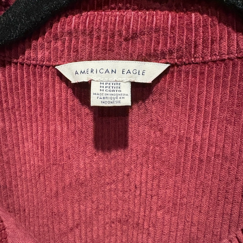 American Eagle Outfitters Burgundy Corduroy Dress - Picture 7 of 8